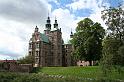 IMG_4555